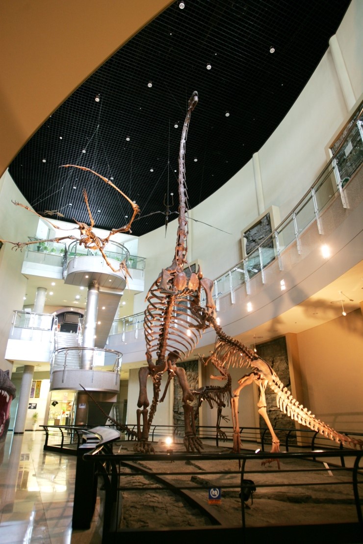 아이들과 주말에 가 볼만한 곳, 경남 고성 공룡 박물관